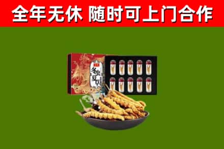 英德市回收冬虫夏草价格